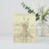 Leonardo da Vinci's menselijke anatomie ruggengraa Briefkaart (Staand voorkant)