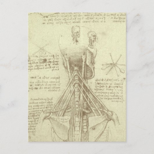 Leonardo da Vinci's menselijke anatomie ruggengraa Briefkaart (Voorkant)