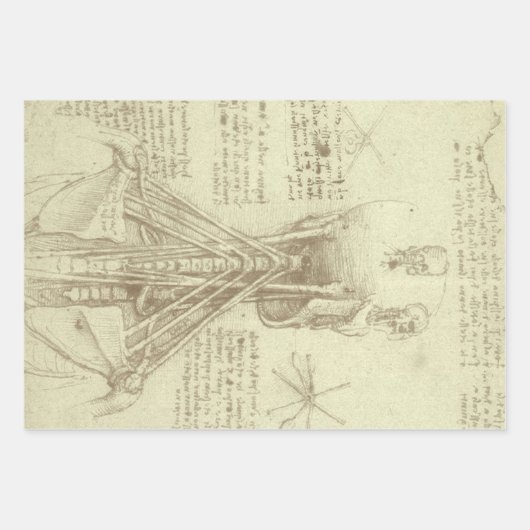 Leonardo da Vinci's menselijke anatomie ruggengraa Inpakpapier Vel (Voorkant 2)