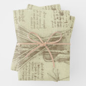 Leonardo da Vinci's menselijke anatomie ruggengraa Inpakpapier Vel (In situ)