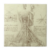 Leonardo da Vinci's menselijke anatomie ruggengraa Tegeltje (Voorkant)