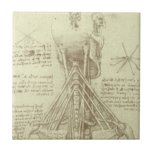 Leonardo da Vinci's menselijke anatomie ruggengraa Tegeltje (Voorkant)