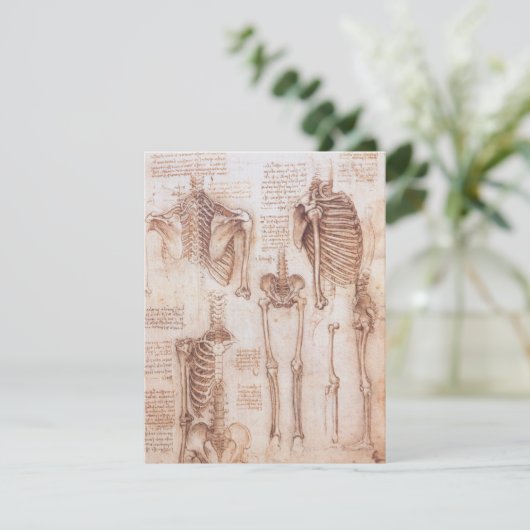 Leonardo da Vinci's menselijke anatomie skelet Bot (Staand voorkant)