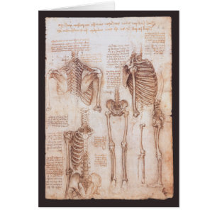 Leonardo da Vinci's menselijke anatomie skelet Bot