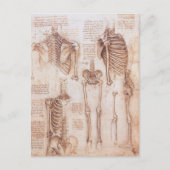 Leonardo da Vinci's menselijke anatomie skelet Bot Briefkaart (Voorkant)