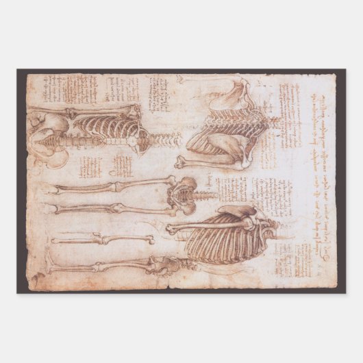 Leonardo da Vinci's menselijke anatomie skelet Bot Inpakpapier Vel (Voorkant 3)