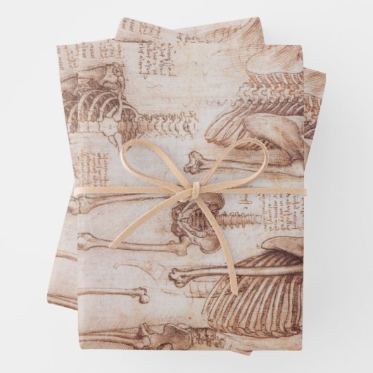 Leonardo da Vinci's menselijke anatomie skelet Bot Inpakpapier Vel (In situ)