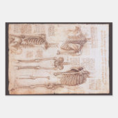 Leonardo da Vinci's menselijke anatomie skelet Bot Inpakpapier Vel (Voorkant)