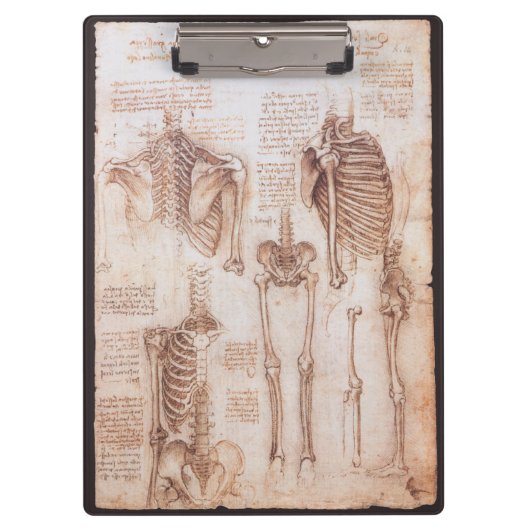 Leonardo da Vinci's menselijke anatomie skelet Bot Klembord (Voorkant)