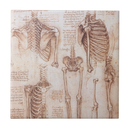Leonardo da Vinci's menselijke anatomie skelet Bot Tegeltje (Voorkant)