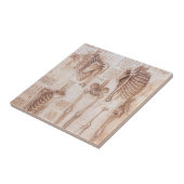Leonardo da Vinci's menselijke anatomie skelet Bot Tegeltje (Zijkant)