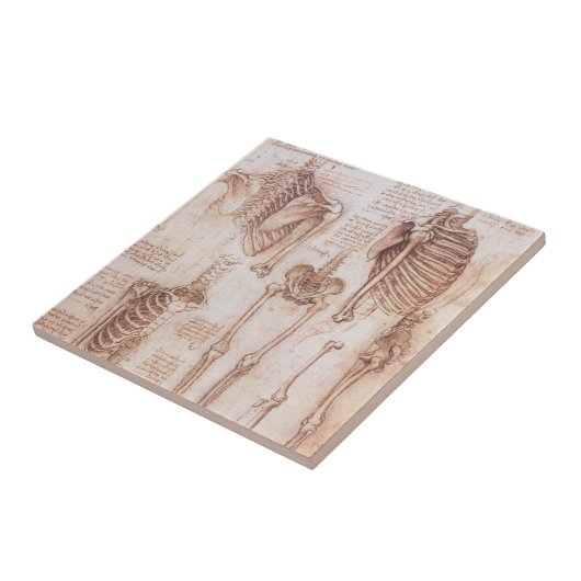 Leonardo da Vinci's menselijke anatomie skelet Bot Tegeltje (Zijkant)
