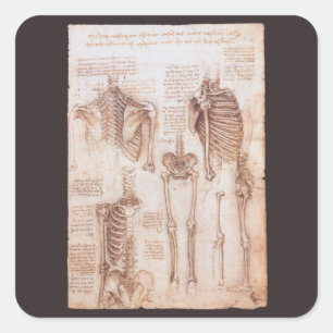 Leonardo da Vinci's menselijke anatomie skelet Bot Vierkante Sticker