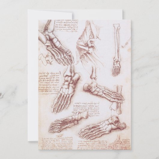 Leonardo da Vinci's menselijke anatomie voet Botte (Voorkant)