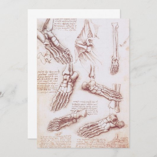 Leonardo da Vinci's menselijke anatomie voet Botte (Voorkant / Achterkant)