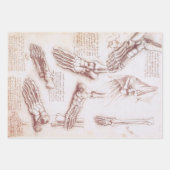 Leonardo da Vinci's menselijke anatomie voet Botte Inpakpapier Vel (Voorkant 3)