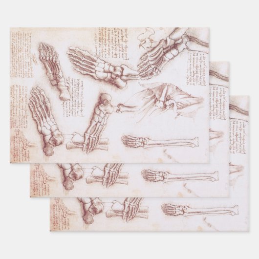 Leonardo da Vinci's menselijke anatomie voet Botte Inpakpapier Vel (Set)