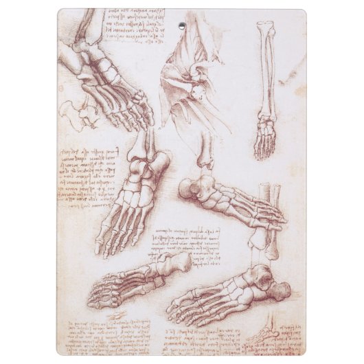 Leonardo da Vinci's menselijke anatomie voet Botte Klembord (Achterkant)