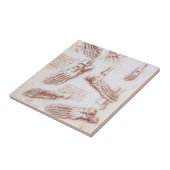 Leonardo da Vinci's menselijke anatomie voet Botte Tegeltje (Zijkant)