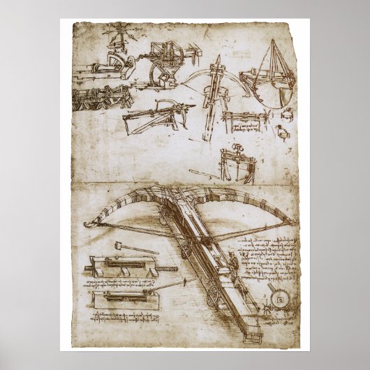 Leonardo da Vinci's schets van het reusachtige kru Poster (Voorkant)