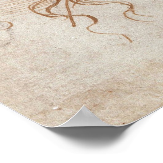 Leonardo da Vinci's studie van het hoofd van Leda Poster (Hoek)