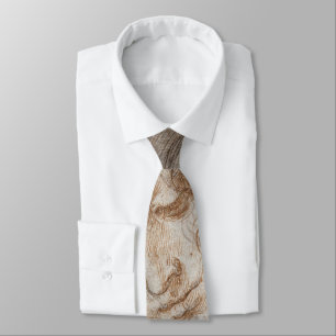 Leonardo da Vinci's studie van het hoofd van Leda Stropdas