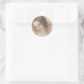 Leonardo da Vinci's Studie van Leda's hoofd Ronde Sticker (Tas)