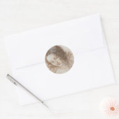 Leonardo da Vinci's Studie van Leda's hoofd Ronde Sticker (Envelop)