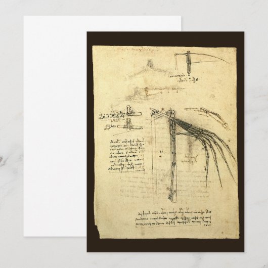 Leonardo da Vinci's vleugel op vliegmachineschets (Voorkant / Achterkant)