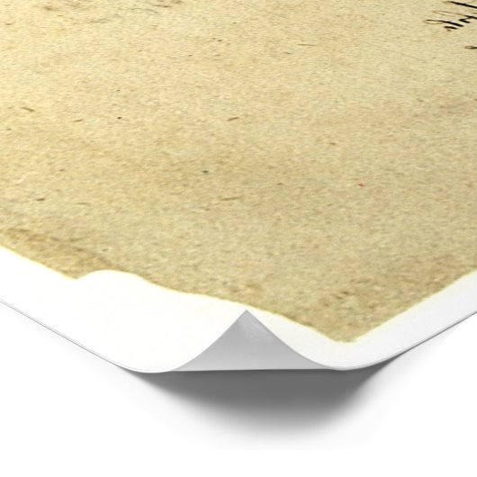 Leonardo da Vinci's vleugel op vliegmachineschets Poster (Hoek)