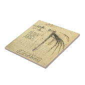 Leonardo da Vinci's vleugel op vliegmachineschets Tegeltje (Zijkant)