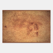 Leonardo da Vinci's Zelfportret, Renaissancekunst Inpakpapier Vel (Voorkant)