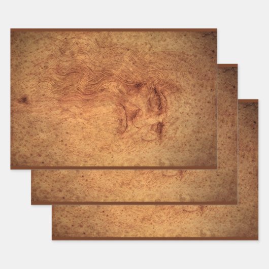 Leonardo da Vinci's Zelfportret, Renaissancekunst Inpakpapier Vel (Set)