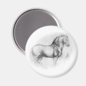 Leonardo DaVinci Paardenmagneet Magneet (Voorkant / Achterkant)