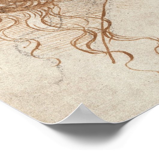Leonardo Head of Woman Drawing Poster (Hoek)