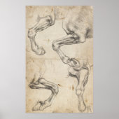 Leonardo Study for Horse Legs Poster (Voorkant)