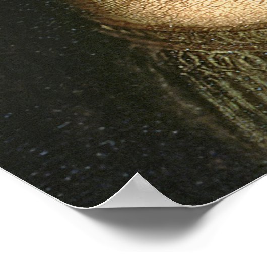 Leonardo Vinci | Mona Lisa, c.1503-6 Poster (Hoek)