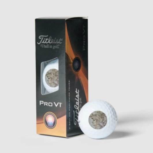Leonardo's geharnaste krijger  golfballen