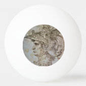 Leonardo's Helmhelden Warrior Ping Pong Bal Pingpongbal (Voorkant)