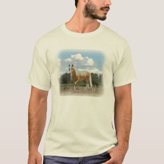 LeonardoSkyEarth T-shirt