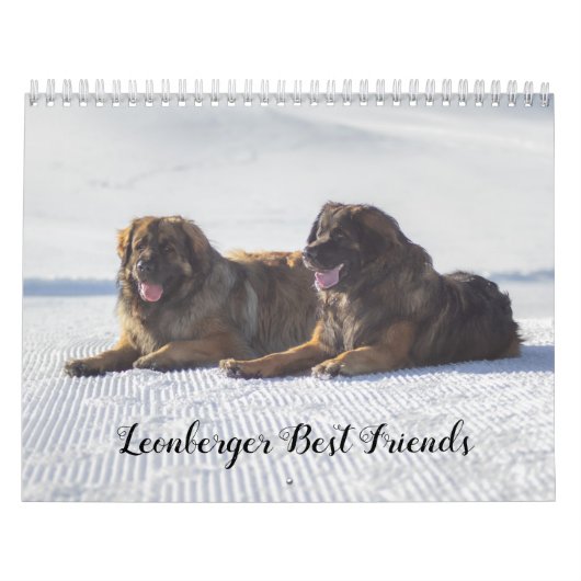 Leonberger Best Friends Kalender (Hoes)