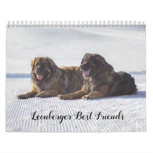 Leonberger Best Friends Kalender