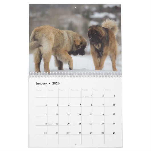 Leonberger Best Friends Kalender (Jan 2026)