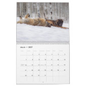 Leonberger Best Friends Kalender (Mar 2027)