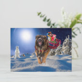 Leonberger bewaart Kerstmis de Vlakke Kaart van de (Staand voorkant)