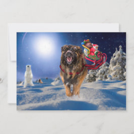 Leonberger bewaart Kerstmis de Vlakke Kaart van de