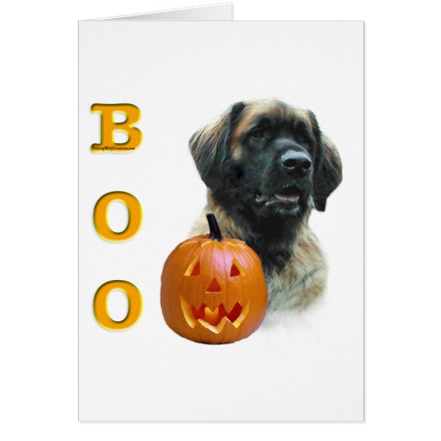 Leonberger Boo (Voorkant)