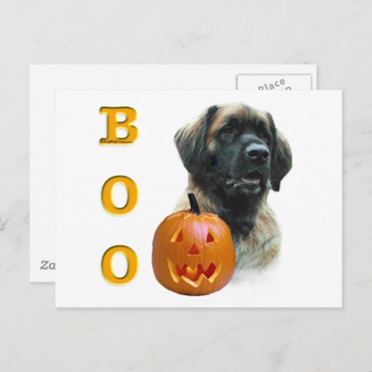 Leonberger Boo Briefkaart (Voorkant / Achterkant)