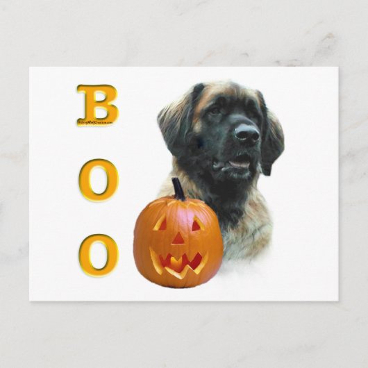 Leonberger Boo Briefkaart (Voorkant)