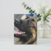 Leonberger Briefkaart (Staand voorkant)